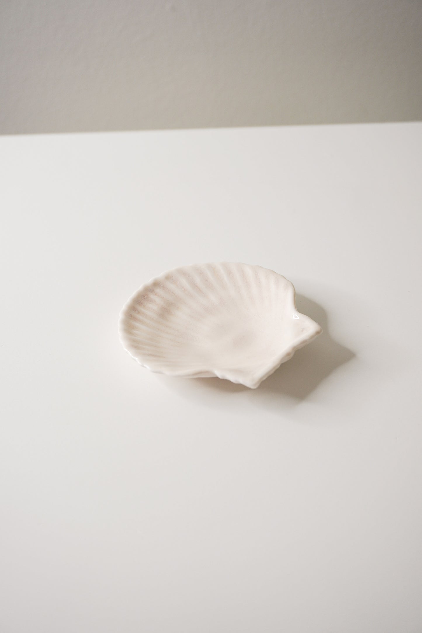 SHELL Object 'Clam'