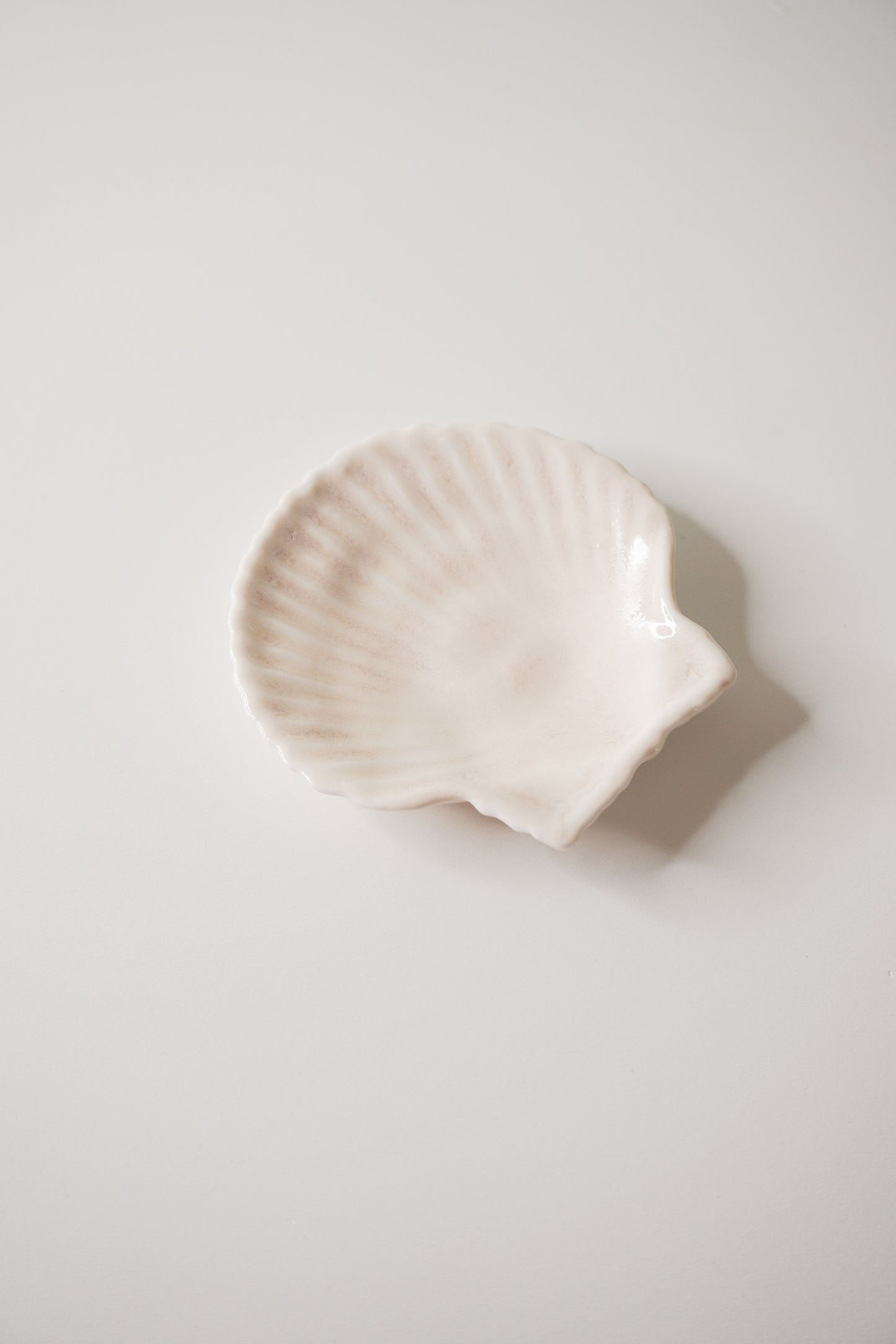 SHELL Object 'Clam'