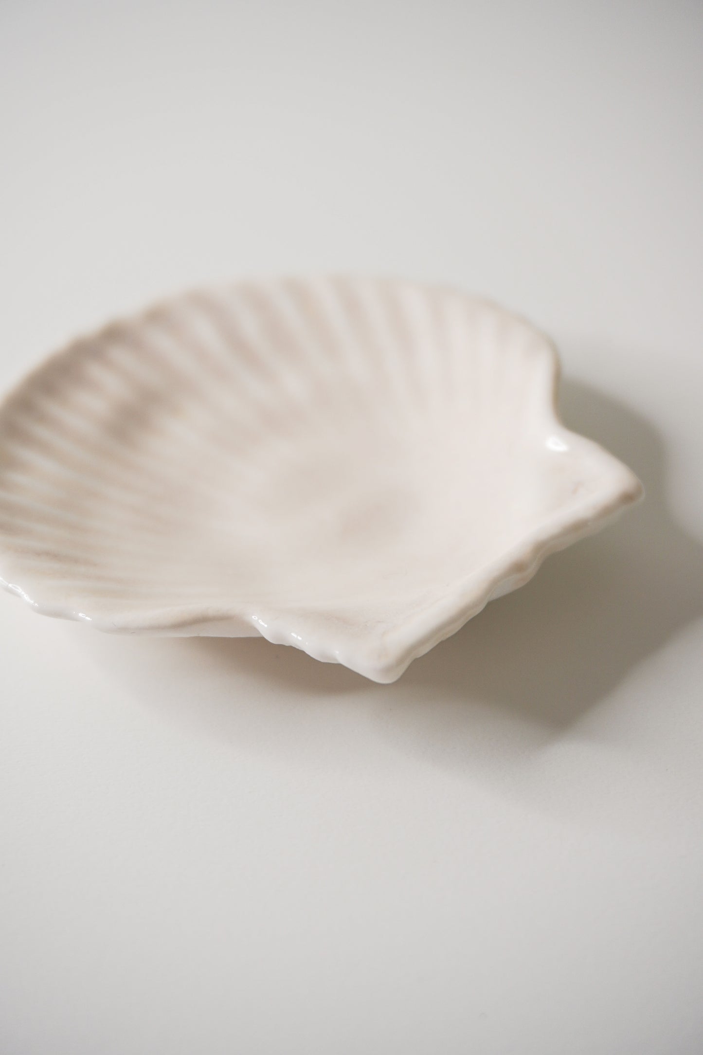 SHELL Object 'Clam'