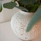 DOL(돌) Moon Jar